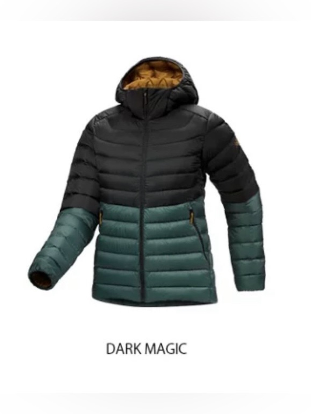 Arc’teryx Cerium Hoody Women’s - Dark Magic - XXS - New!